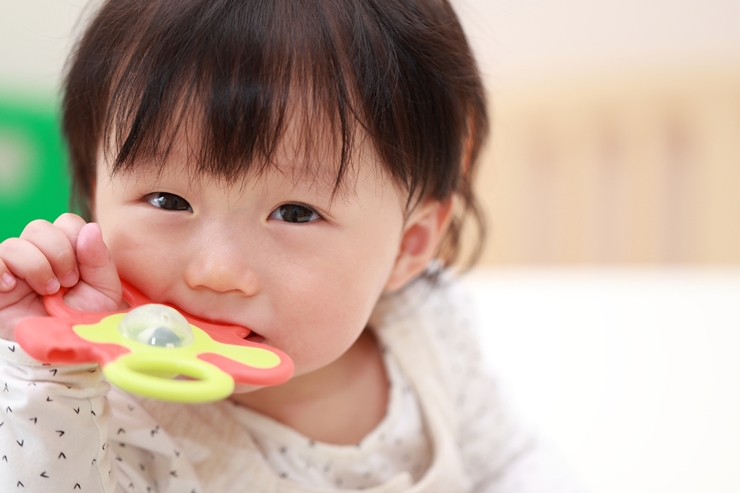 歯固めはいつから使うもの?効果とやめどき選び方のポイントも