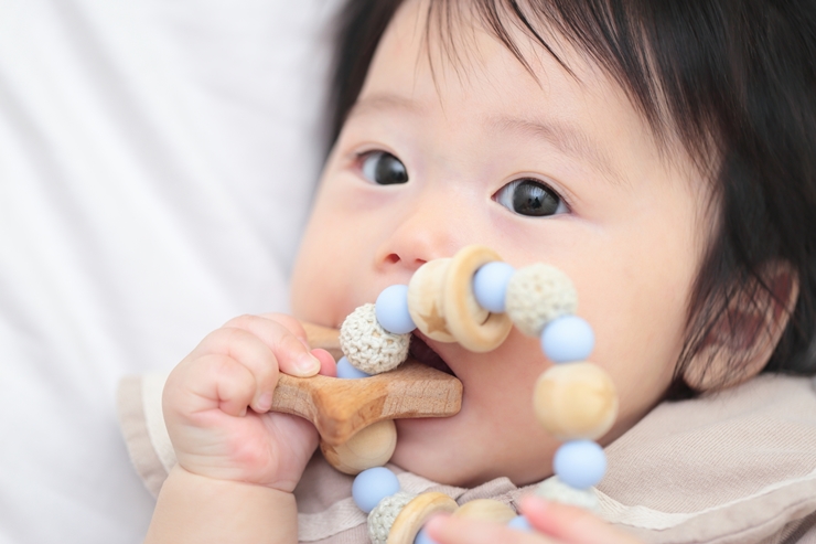 歯固めはいつからいつまで使う?時期の目安と効果