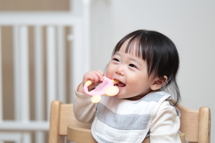 歯固めとは?いつまで使うものなの