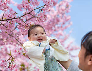 百日祝い（お食い初め）の流れを全解説！当日も事前準備もこれでバッチリ