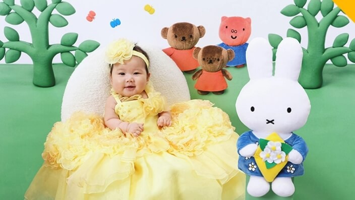 ディック・ブルーナの世界