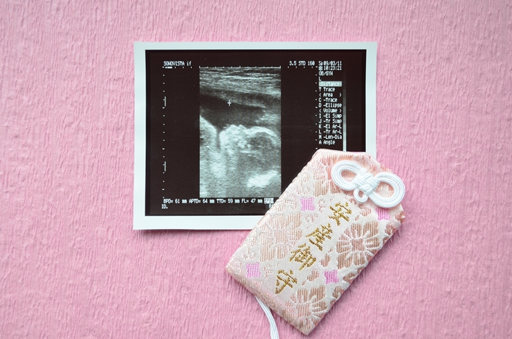 戌の日に行われる安産祈願の行事「帯祝い」とは