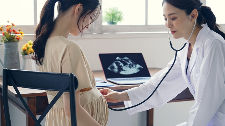 赤ちゃんの性別はいつ分かる？