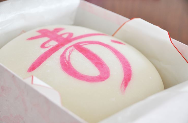 1歳のお誕生日は一升餅を背負おう！意味とやり方を詳しく解説