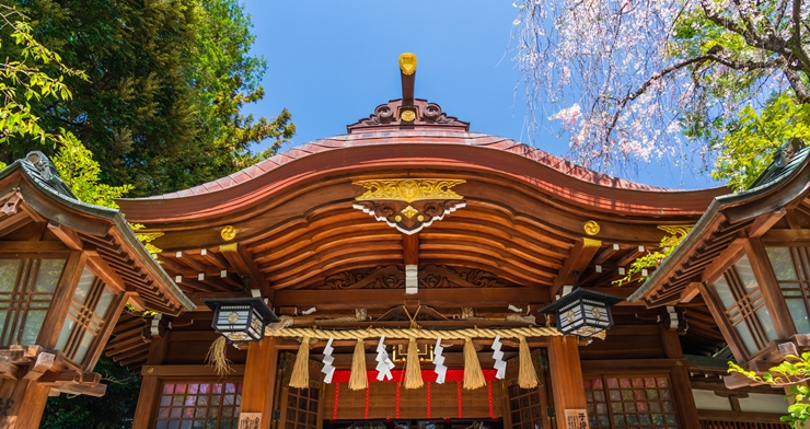 お宮参りはどこにいく?