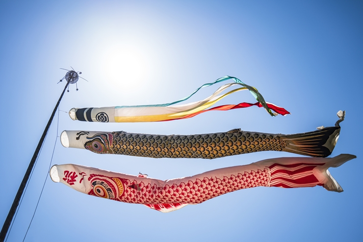 【こどもの日】こいのぼりを飾る意味は？行事を楽しむコツも◎