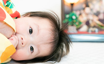 初節句とは？何をする行事？基礎知識から準備のやり方まで全解説